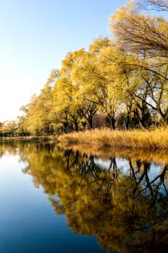 Scenery of autumn Foto stock