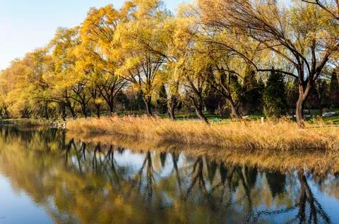 Scenery of autumn Foto stock