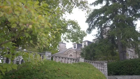Scenery background of the green natural trees with building Stock-Footage 304985136