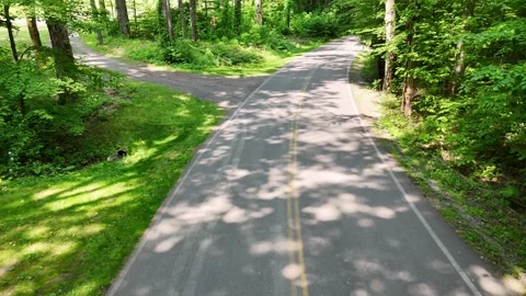 Scenery Bends - Green Lakes State Park - Syracuse, NY Video stock 336537441