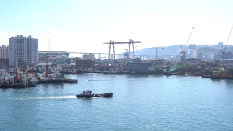 The scenery of Busan port Stock Footage 101004311
