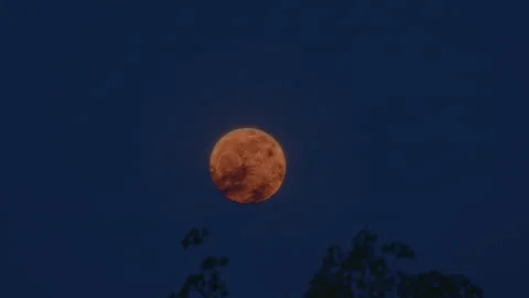 Scenery Clouds obscure the blood moon Stock Footage 317604952