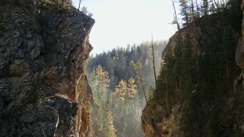 Scenery of coniferous forest in mountains Stock Footage 153620806