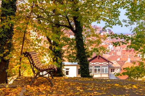 Scenery with empty bench and view towards the city with orange brick rooftops Stock Photos