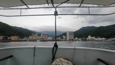 Scenery of the ferry Stock Footage 318657301