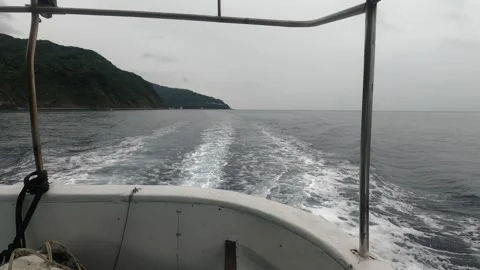 Scenery of the ferry Stock Footage 318686050