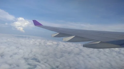 Scenery from the flight. Stock Footage 100498025