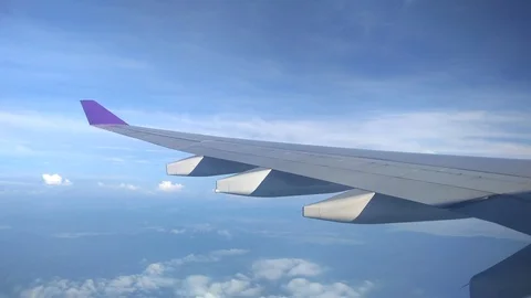 Scenery from the flight. Stock Footage 100498306