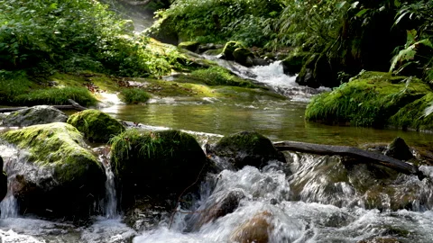 Scenery of flowing rivers in the mountains of Japan Stock-Footage 160244553
