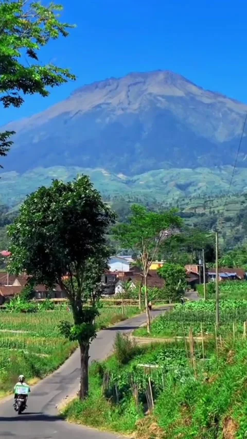 Scenery Video stock 230937437