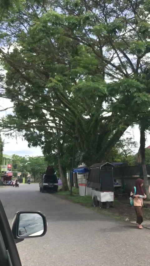 Scenery Stockbeeldmateriaal 231009474