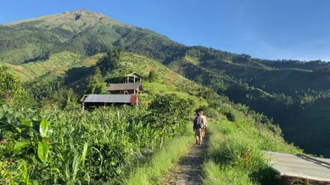 Scenery 库存影片 242036033