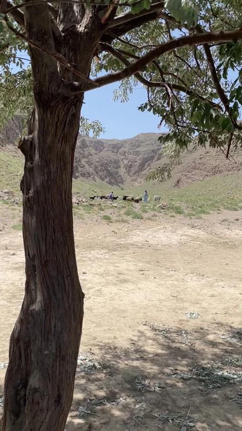 Scenery Stock Footage 280172684