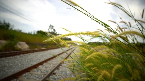 Scenery grass with railway for train Stock Footage 127632786