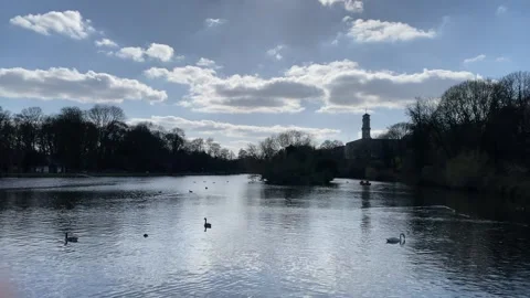 Scenery of the lake Stock Footage 240985474