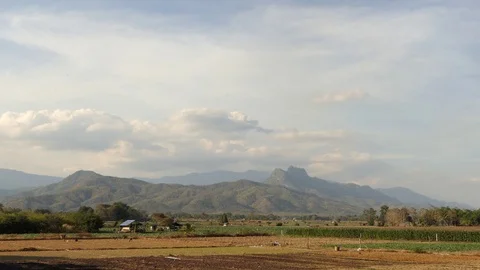 Scenery of mountain at black scrap ashes for burned forest, video 4k Stock Footage 90157397