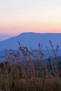 The scenery of a mountain during sunset. Stock Photos