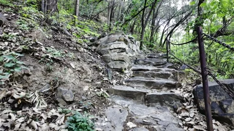 Scenery of the Mountain Path Stock Footage 318565251