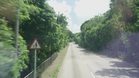 Scenery of mountain road view shot from a bus, Hong Kong Stock Footage 314475071