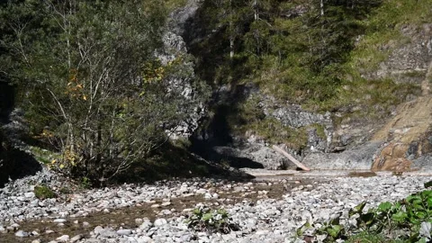 Scenery of a mountain stream next to rocks and greens in late summer Stock-Footage 260862293