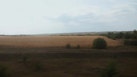 Scenery from a moving train shows a golden harvested field. Rural landscape with 스톡 동영상 320605931
