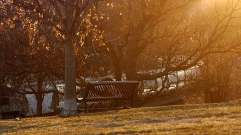 Scenery Park Bench at Sunset Overlooking Train Stockbeeldmateriaal 105272675