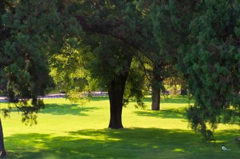 Scenery of a park Foto stock