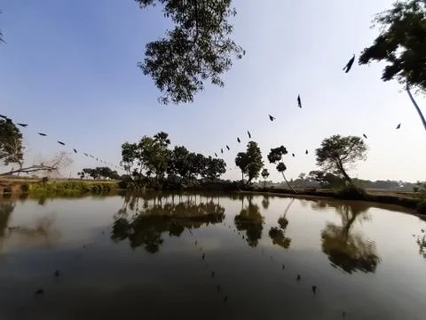 Scenery Stock Photos