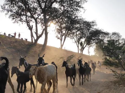 Scenery Stock Photos