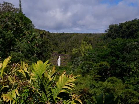 Scenery Stock Photos