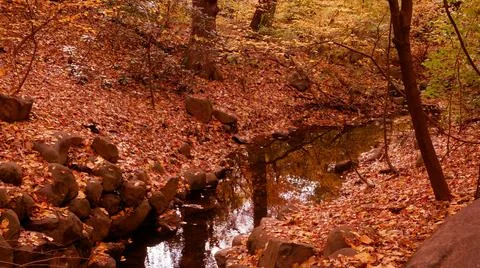 Scenery Stock Photos