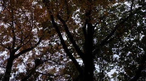 Scenery Stock Photos