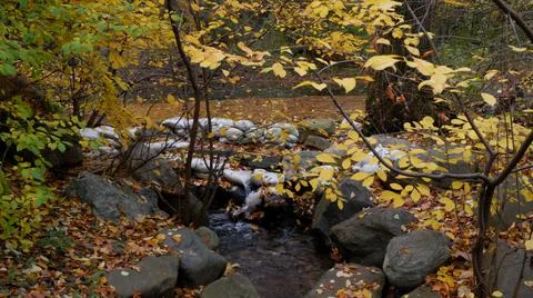 Scenery Stock Photos