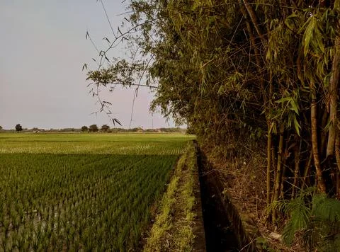 Scenery Stock Photos