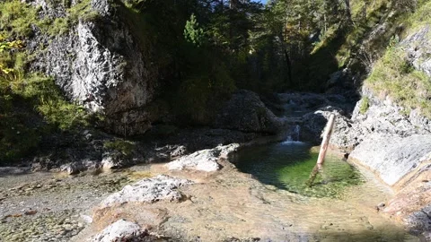 Scenery of a pond of a mountain stream next to rocks and greens Stock Footage 260861898