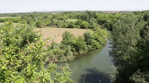 Scenery with river and forest Stock Footage 80867015