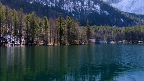 Scenery river forest Video stock 270816811