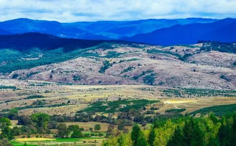 Scenery rustic landscape, mountains, fields, summertime. France Provence back Stock Photos