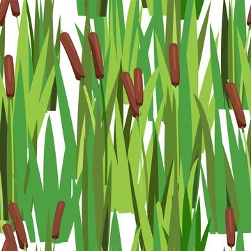 Scenery. Seamless pattern. Plants, grass, reeds and cattails. Bog shore, pond Stock Illustration