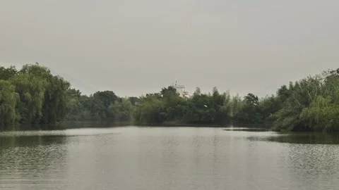 Scenery seen while boating through the wetlands Stock Footage 310045260