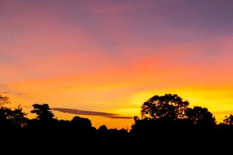Scenery in the sunrise Stock Photos