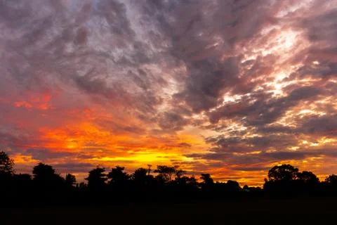 Scenery in the sunrise Stock Photos