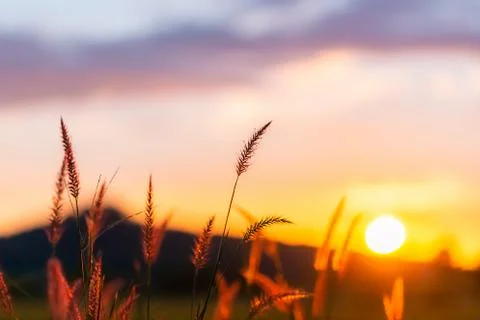 Scenery in the sunset Stock Photos