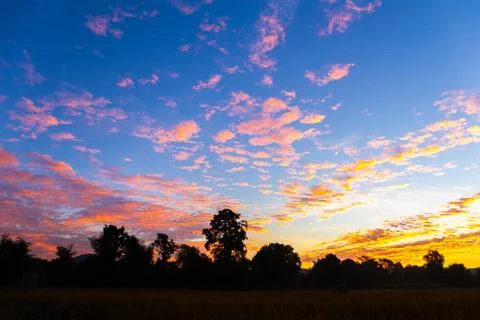 Scenery in the sunset Stock Photos