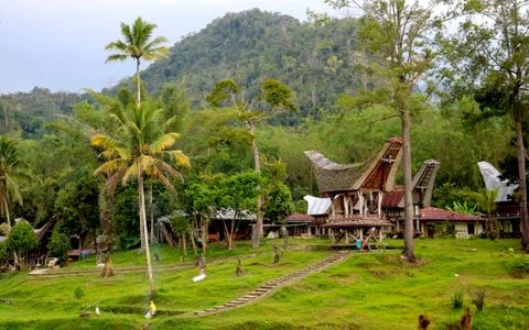 Scenery of Toraja Stock Photos