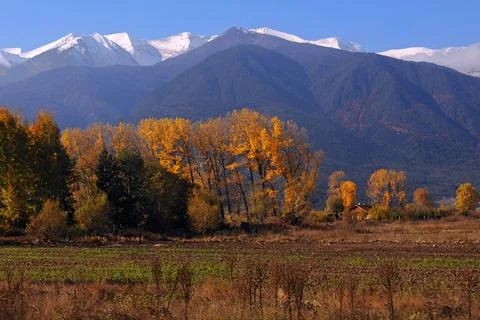 Scenery from the train window Stock Photos