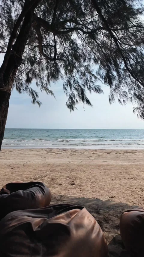 Scenery under the trees on a beautiful beach 動画素材 274834111