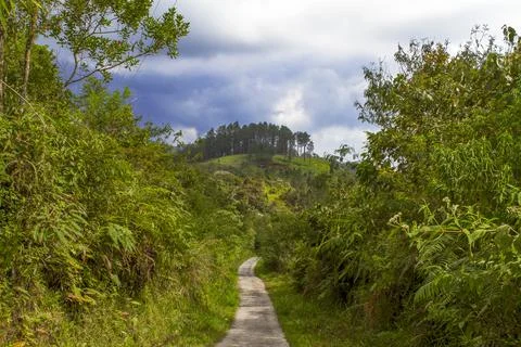 Scenery in West Sumatra Stock Photos