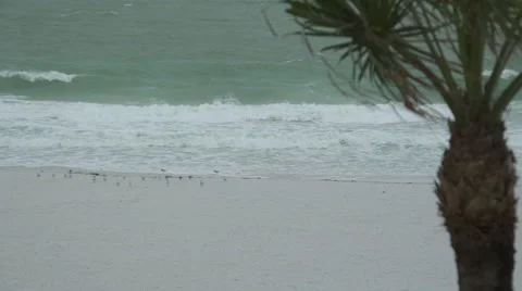 Scenes on the Beach as a Storm Approaches (6 of 6) Stock Footage 48692079