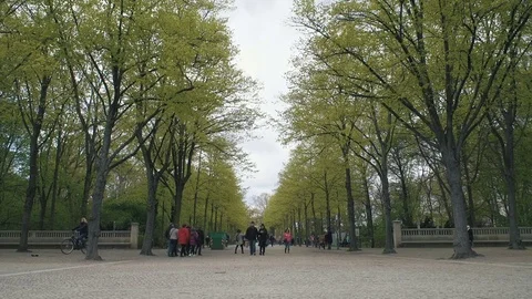 Scenes of Berlin Stock-Footage 78381503